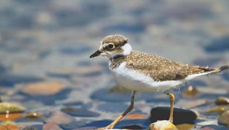 3. Foto Safari Ödülleri Belirlendi
