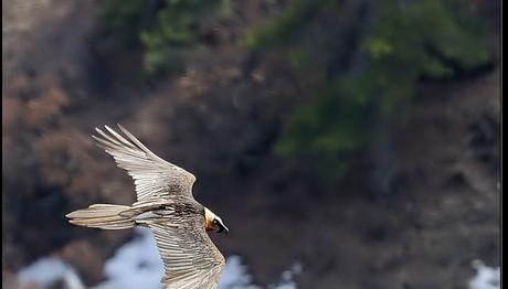 Örnek haber adı gelecek.