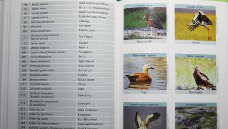 KARADAĞIN DOĞAL VE KÜLTÜREL VARLIKLARI 