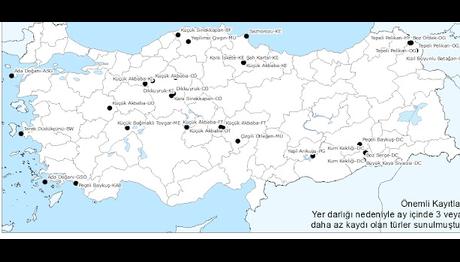 Örnek haber adı gelecek.