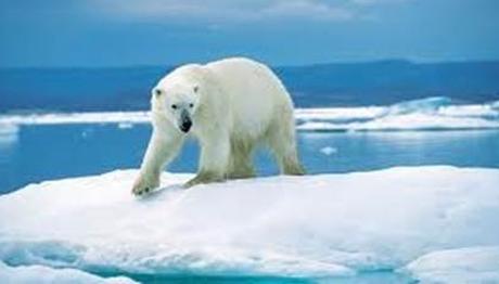 Küresel Isınma ve Etkileri...