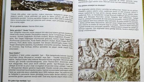 Örnek haber adı gelecek.