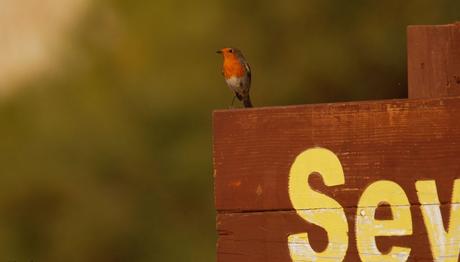 90 adet uyarı levhası