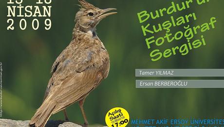 Örnek haber adı gelecek.