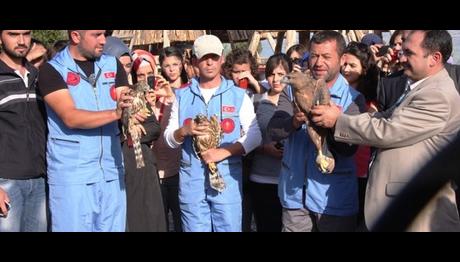 Örnek haber adı gelecek.