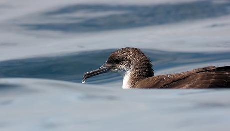 Örnek haber adı gelecek.