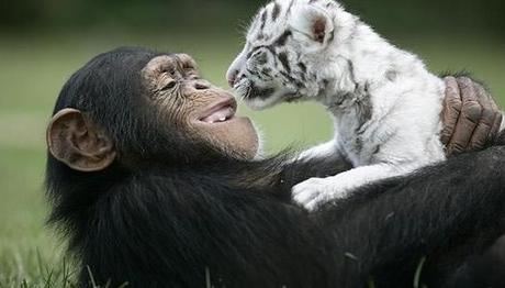 Örnek haber adı gelecek.