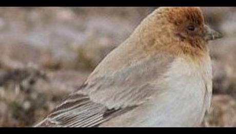 Örnek haber adı gelecek.