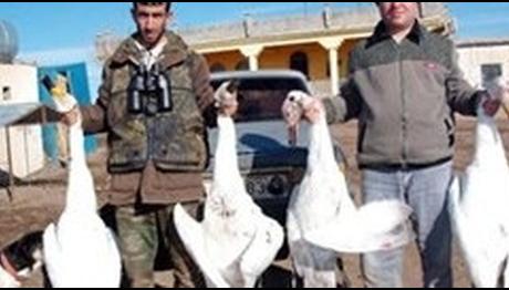 Örnek haber adı gelecek.