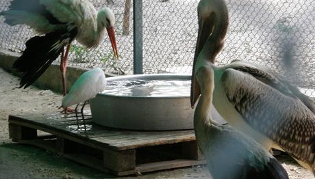 Örnek haber adı gelecek.