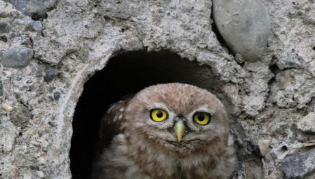 Örnek haber adı gelecek.