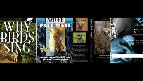 Örnek haber adı gelecek.