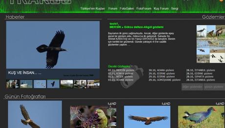 Örnek haber adı gelecek.