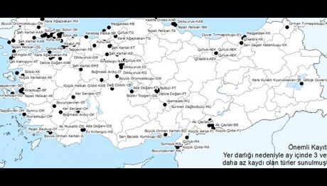 Örnek haber adı gelecek.