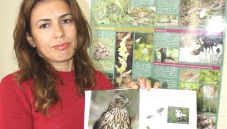 Sinop 289 Kuş Türü Tespit Edildi