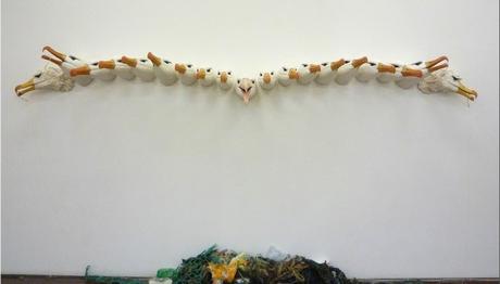  Nesli tükenmiş kuşların hayaletleri