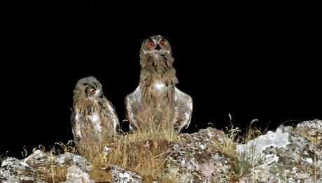Örnek haber adı gelecek.