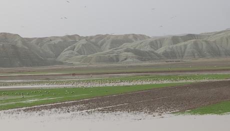 Örnek haber adı gelecek.