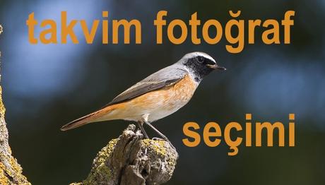 Örnek haber adı gelecek.