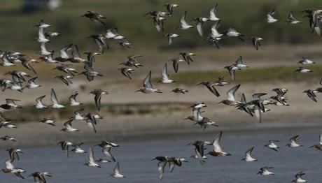 Örnek haber adı gelecek.