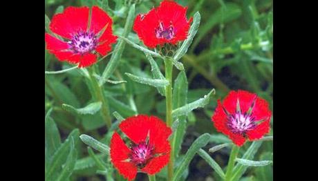 Örnek haber adı gelecek.