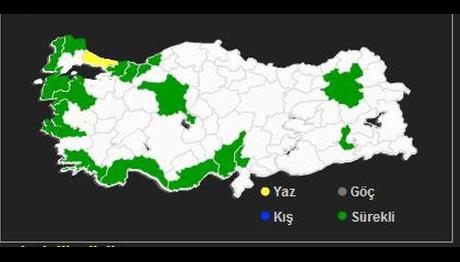 Örnek haber adı gelecek.