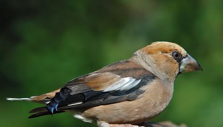 Örnek haber adı gelecek.