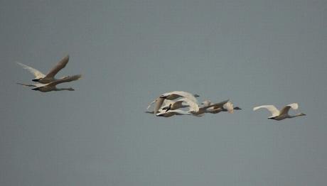 Örnek haber adı gelecek.