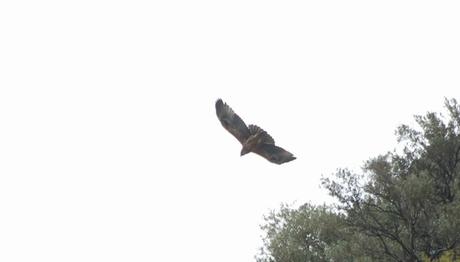 Örnek haber adı gelecek.