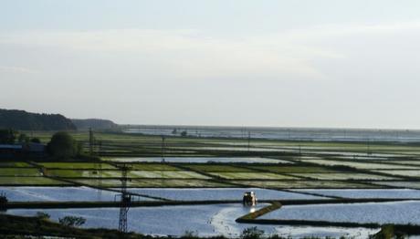 Örnek haber adı gelecek.