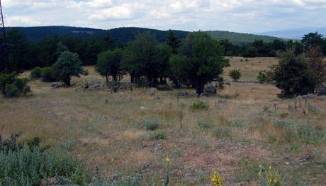 Örnek haber adı gelecek.