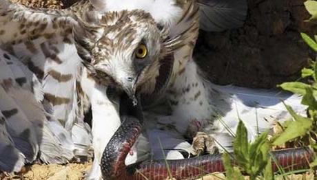 Örnek haber adı gelecek.