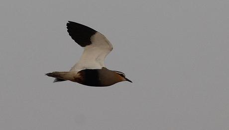 Örnek haber adı gelecek.