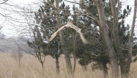 Örnek haber adı gelecek.