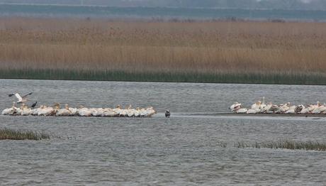 Örnek haber adı gelecek.