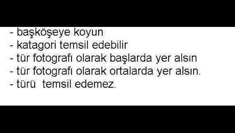 Örnek haber adı gelecek.