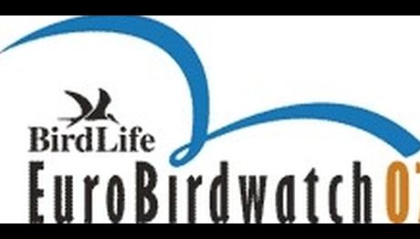 7 Ekim Gözlem Günü