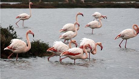 Örnek haber adı gelecek.