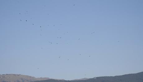 Örnek haber adı gelecek.