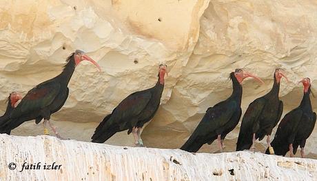 Örnek haber adı gelecek.