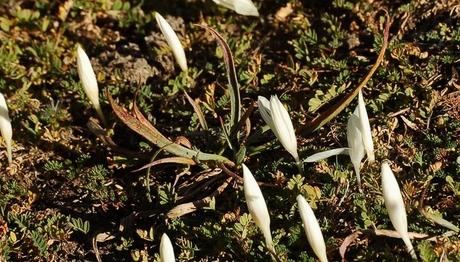 Örnek haber adı gelecek.