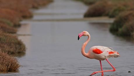 Örnek haber adı gelecek.
