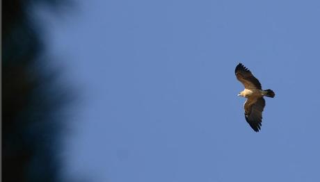 Örnek haber adı gelecek.
