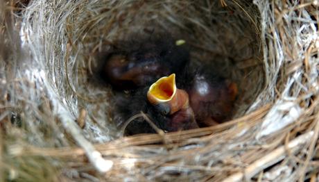 Örnek haber adı gelecek.