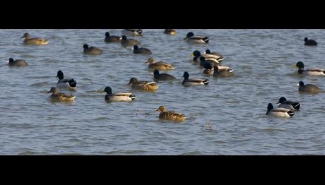 Örnek haber adı gelecek.