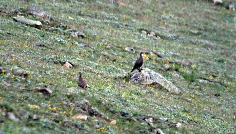 Örnek haber adı gelecek.
