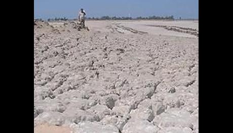 Örnek haber adı gelecek.