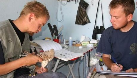 Örnek haber adı gelecek.