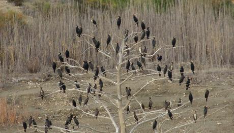 Örnek haber adı gelecek.
