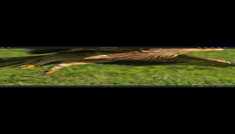 Örnek haber adı gelecek.